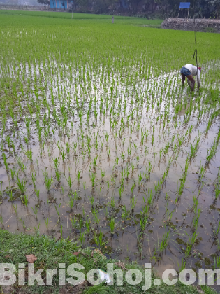 রূপগঞ্জে প্রিমিয়াম ইনভেস্টমেন্ট: ৭০ শতাংশ জমি এখনই আপনার